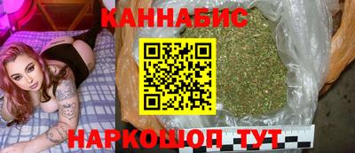 молекула духа Будённовск